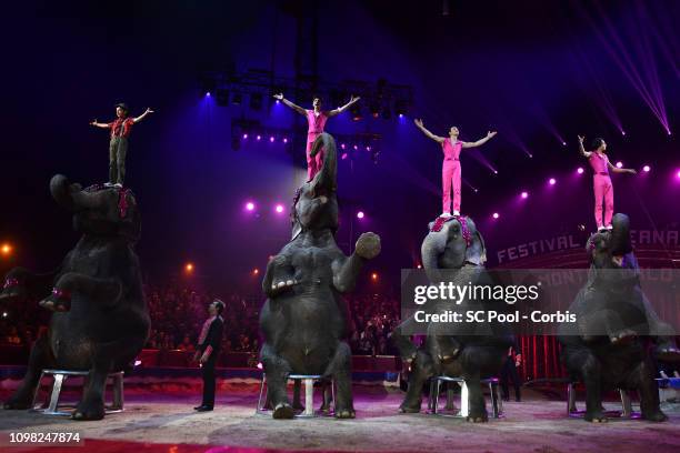 Acrobats an Elephants perform during the Gala Ceremony of the 43rd International Circus Festival of Monte-Carlo on January 22, 2019 in Monaco, Monaco.