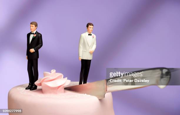 gay marriage divorce - marriage equality stock-fotos und bilder
