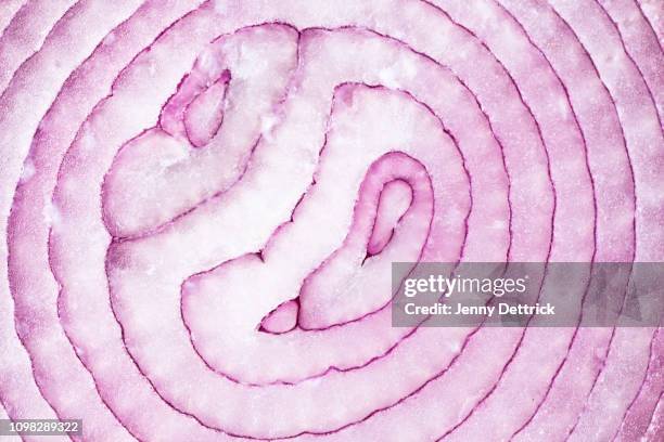 red onion - macro food stock-fotos und bilder