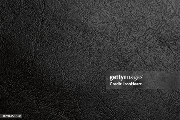 genuine leather - animal skin stockfoto's en -beelden