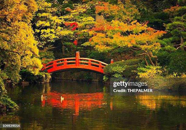 public park in tokyo - japansk trädgård bildbanksfoton och bilder
