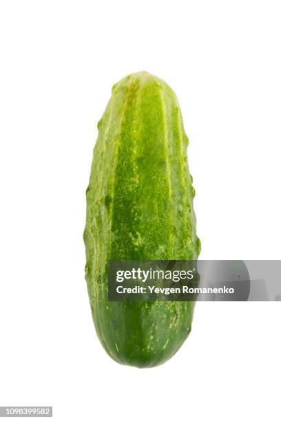 fresh cucumber closeup isolated on white background - pepino - fotografias e filmes do acervo