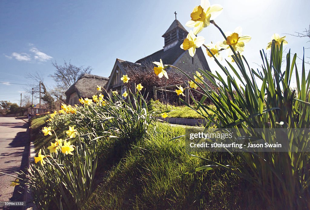 Springtime at St Agnes Thatched Church, IOW