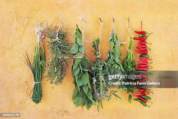 herbs - bay leaf stock pictures, royalty-free photos & images