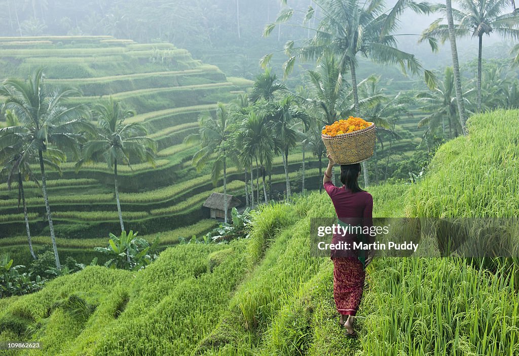 Woman carrying basket of flowers