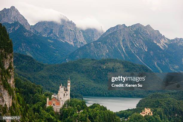 neuschwanstein castle - neuschwanstein castle fotografías e imágenes de stock