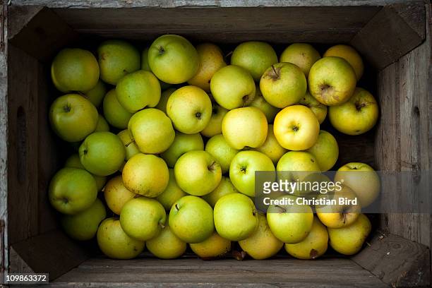 organic norfolk apples - crate stock pictures, royalty-free photos & images