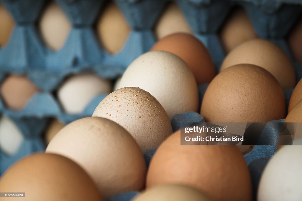 Free Range Eggs in Crate