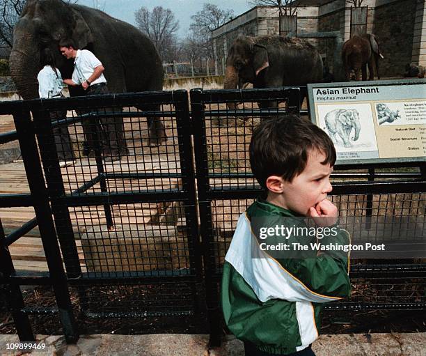 Elephant19 - Nationa'l Zoo - Young Eric Tschiderer, 3yrs. Old, from Washington,D.C,. Visits the Elephants at the National Zoo. Erics aunt explained...
