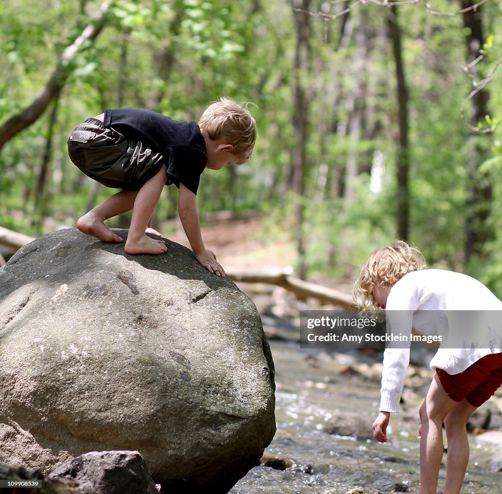Kids in the Creek