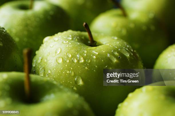 a tray full of granny smiths - green apples stock pictures, royalty-free photos & images