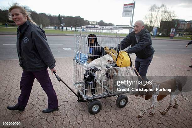 Dogs and their owners arrive for the first day of the annual Crufts dog show at the National Exhibition Centre on March 10, 2011 in Birmingham,...