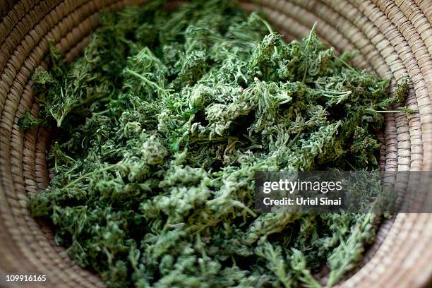 Cannabis is placed in a basket at the Tikun Olam company store on March 03, 2011 in Tel Aviv, Israel. In conjunction with Israel's Health Ministry,...