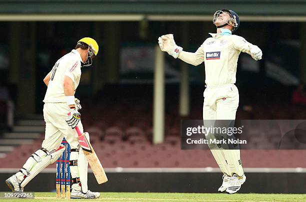 Peter Nevill of NSW celebrates the wicket of Marcus North of the Warrios during day two of the Sheffield Shield match between the New South Wales...