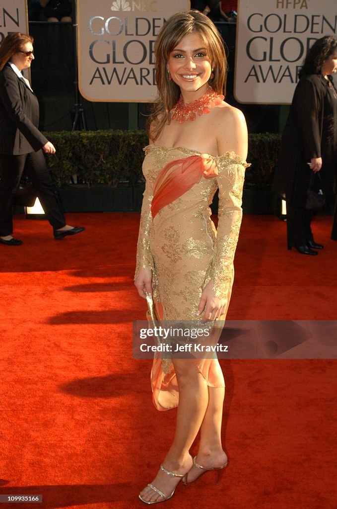 The 60th Annual Golden Globe Awards - Arrivals
