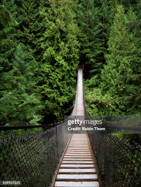 lynn canyon suspension bridge. - vancouver bridge stock pictures, royalty-free photos & images