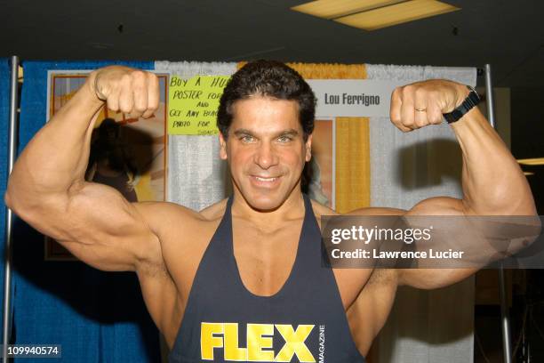 Lou Ferrigno during International Sci-Fi and Fantasy Creators Convention at Madison Square Garden in New York City, New York, United States.