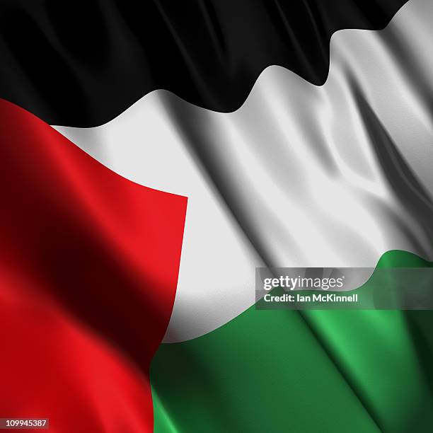 palestine flag. - palestine flag stock illustrations