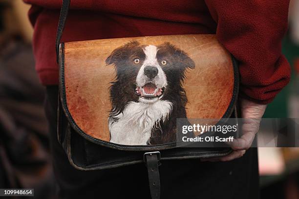 Woman holds her dog-print handbag on the second day of the annual Crufts dog show at the National Exhibition Centre on March 11, 2011 in Birmingham,...