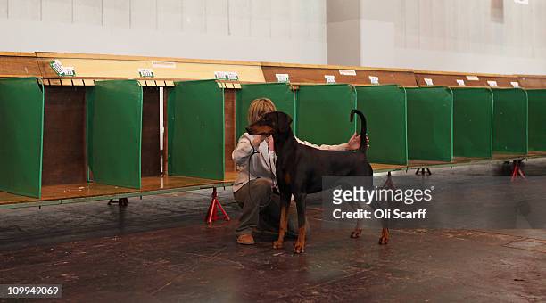 Woman practices obedience training with her dog on the second day of the annual Crufts dog show at the National Exhibition Centre on March 11, 2011...