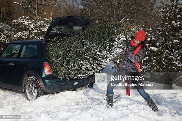 girl pushing a christmas tree in a small cacr - passt nicht stock-fotos und bilder