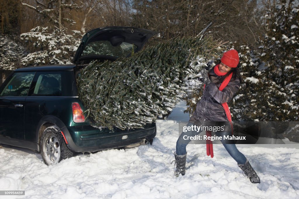 Girl pushing a christmas tree in a small cacr