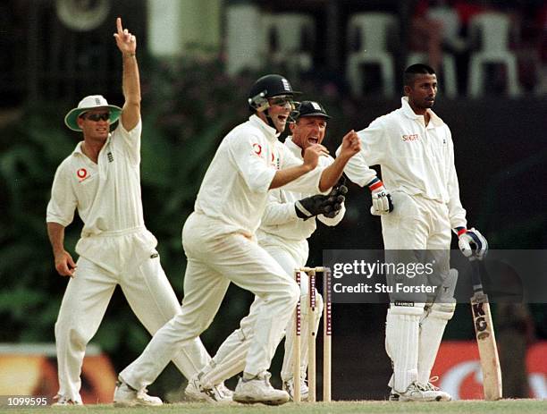 England players led by Marcus Trescothick celebrate taking the wicket of Russel Arnold of Sri Lanka during the third day of the 2nd Test between Sri...