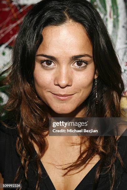 Alice Braga during 2006 Park City - Heineken Lounge Hosts Solo Dios Sabe Party at Village at the Lift in Park City, Utah, United States.