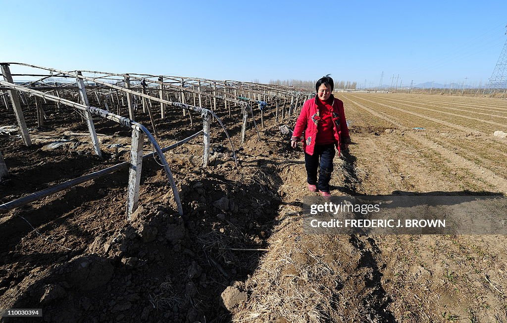 TO GO WITH China-economy-Internet-farm F