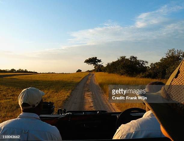 jeep driving through game reserve in south africa - wijn stock pictures, royalty-free photos & images