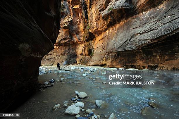 Tourists wade through freezing water as they hike up the Virgin River at an area called the Zion Narrows inside the Zion National Park in Utah on...