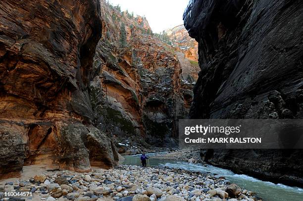 Tourists wade through freezing water as they hike up the Virgin River at an area called the Zion Narrows inside the Zion National Park in Utah on...