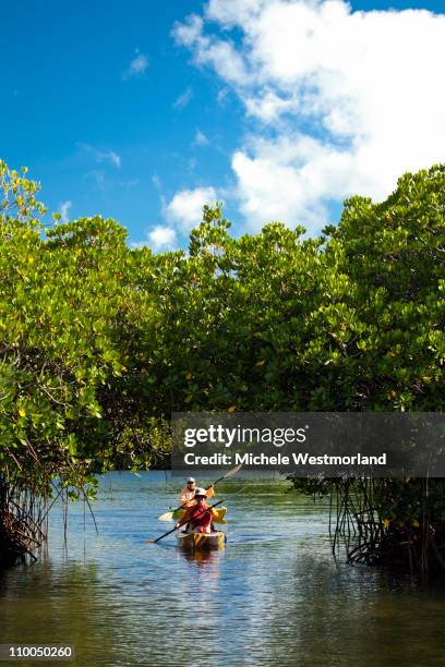 man and woman kayaking - パラオ ストックフォトと画像