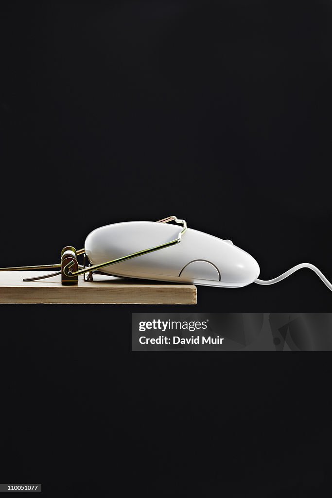 Computer mouse in a mouse trap