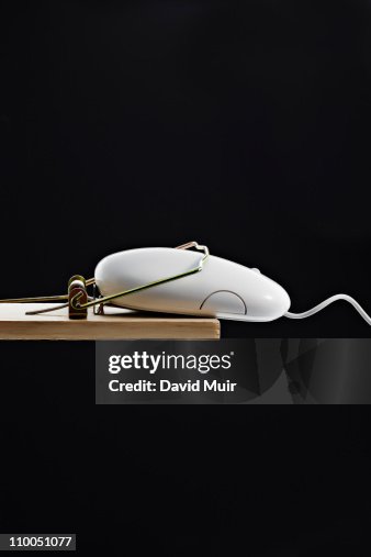 Computer mouse in a mouse trap Computer mouse in a mouse trap