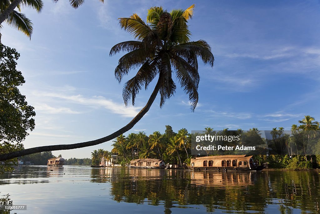 Houseboat, Backwaters, Alappuzha, Kerala, India