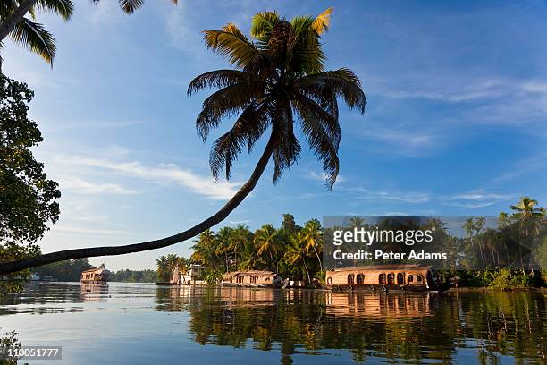 houseboat, backwaters, alappuzha, kerala, india - laguna de kerala - fotografias e filmes do acervo