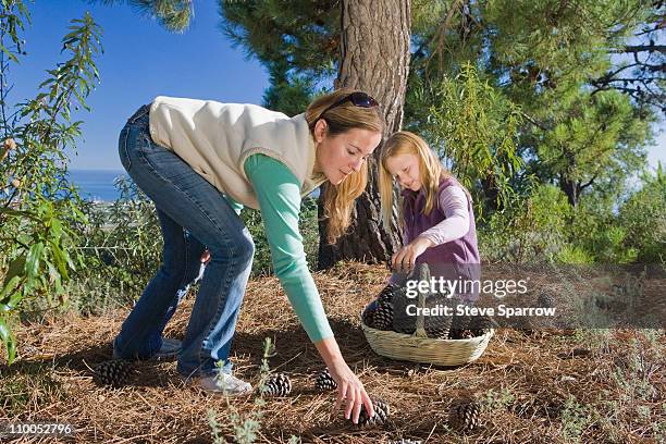 mutter und tochter pinecones sammeln - collection automne stock-fotos und bilder