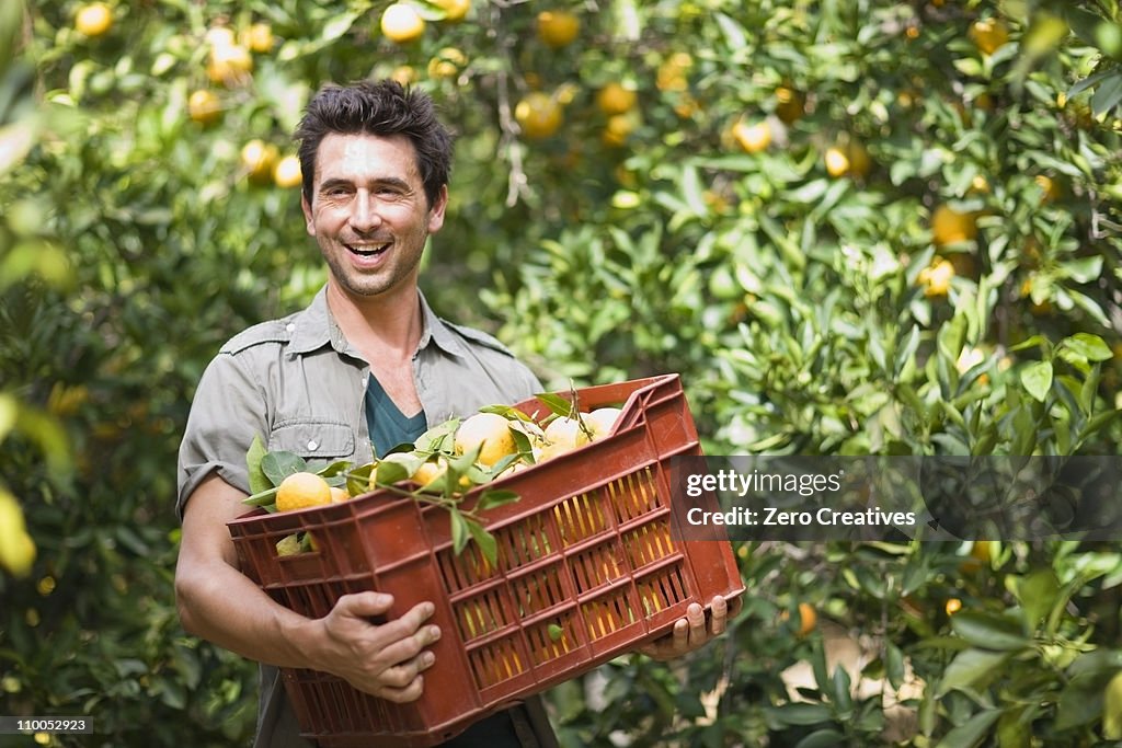 Man carrying a box with oranges