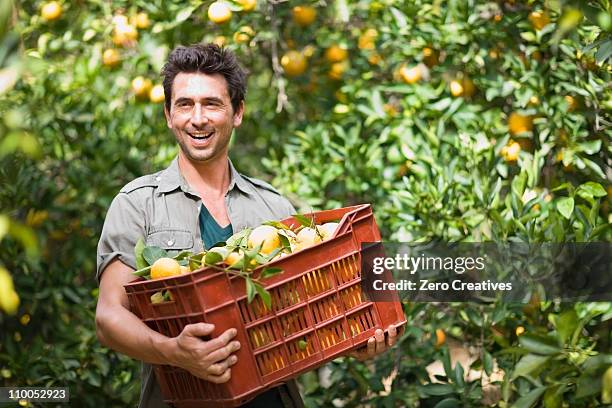 man carrying a box with oranges - trabalhador rural imagens e fotografias de stock