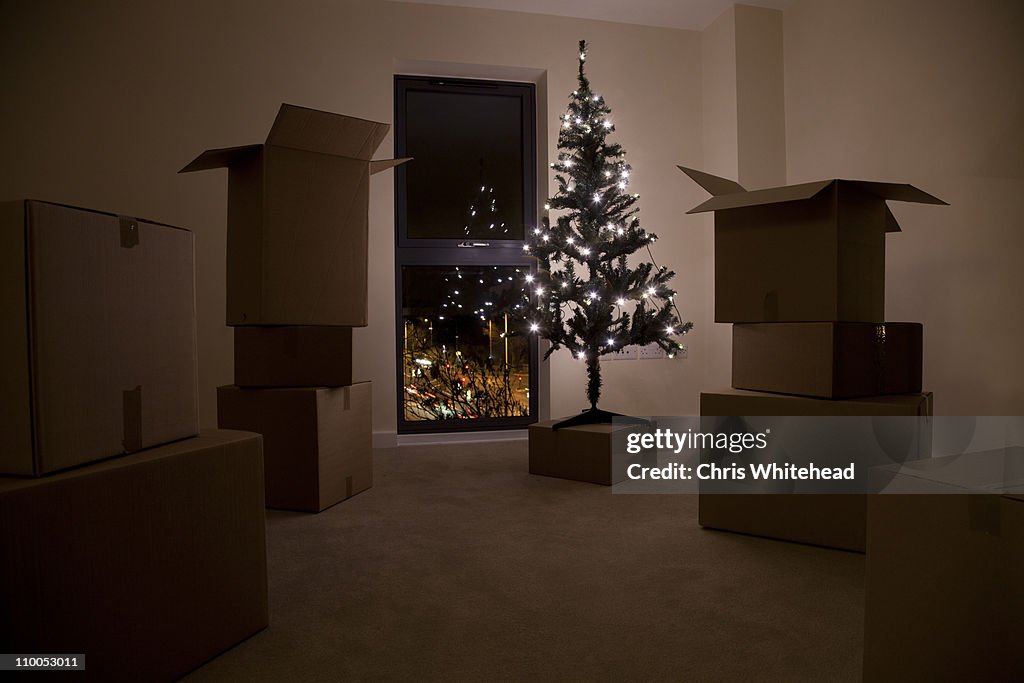 Still life of xmas tree and moving boxes