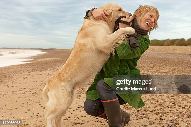 woman training, playing with dog, beach - dog jumping stock pictures, royalty-free photos & images