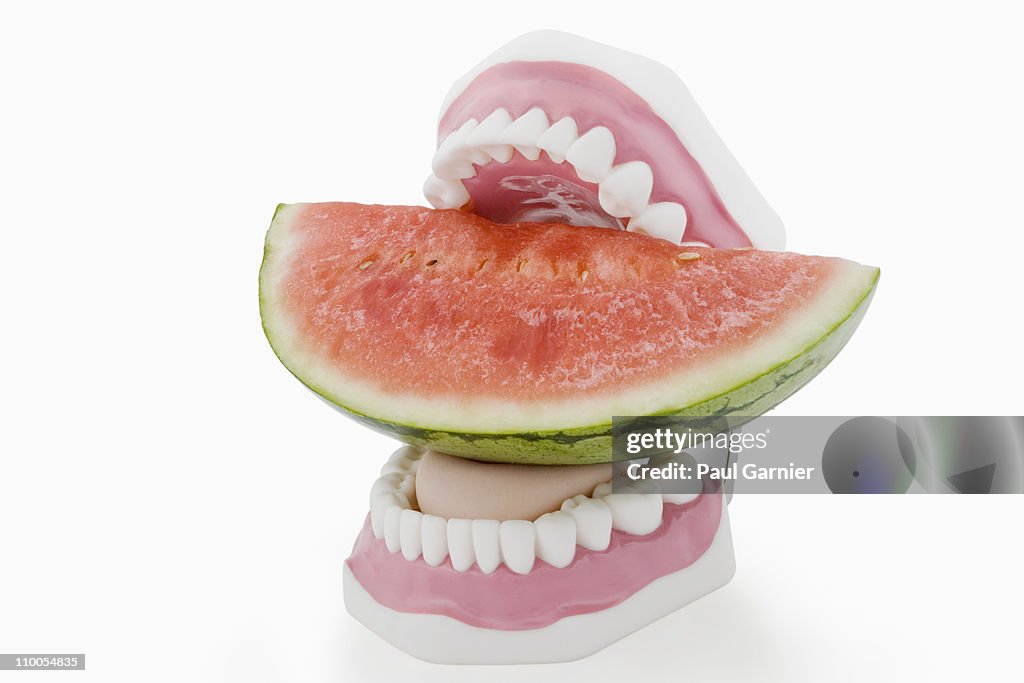 Watermelon Rind Teeth Teeth Biting A Watermelon High-Res Stock Photo - Getty Images
