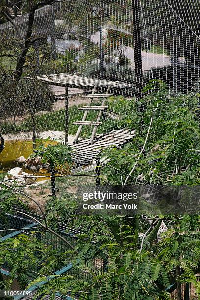 view through a fence of an animal enclosure at a zoo - abandoned playground stock pictures, royalty-free photos & images