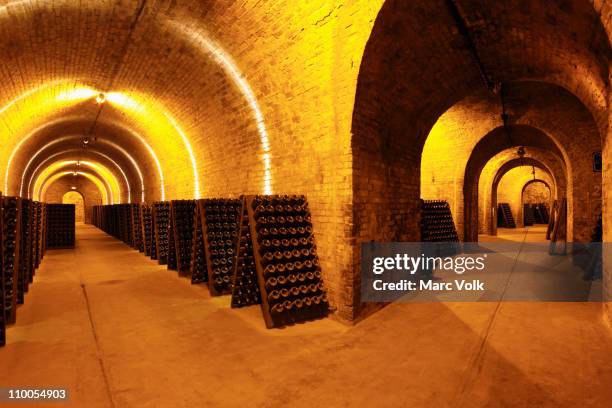 a wine cellar - cellar stock pictures, royalty-free photos & images