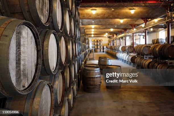 oak barrels in a winery - reims stock-fotos und bilder