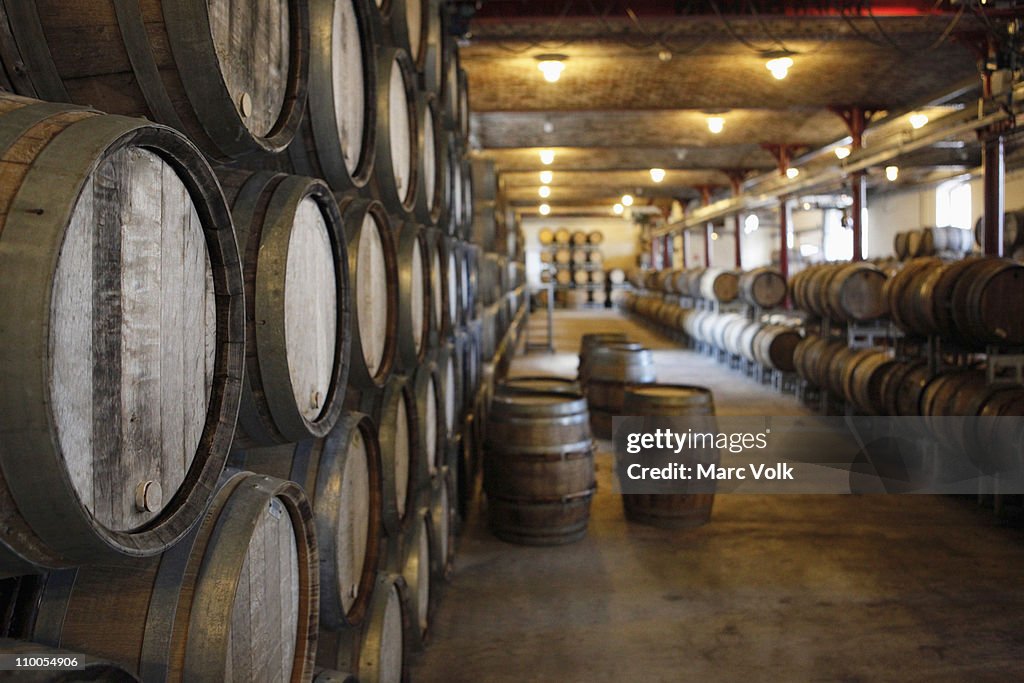 Oak barrels in a winery