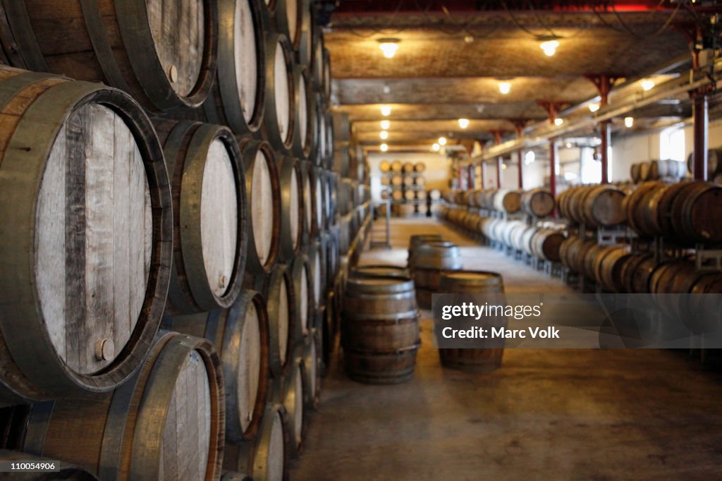 Oak barrels in a winery