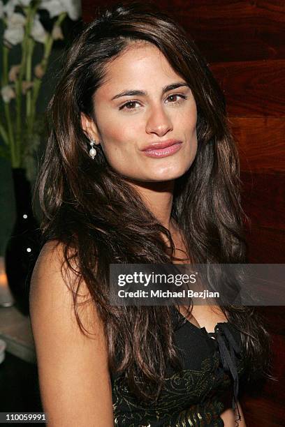 Amanda Robin during Silver Spoon Holiday Party at Dolce - December 18, 2006 at Dolce in West Hollywood, California, United States.