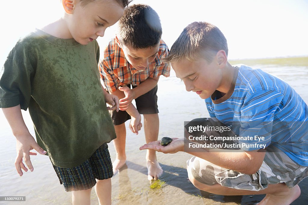 Three young boys looking at a seashell